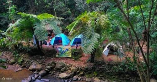 Imagen general del Exorcism Camp. Foto 3