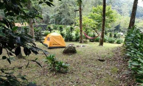 Imagen general del Exorcism Camp. Foto 5