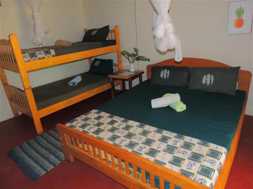 Imagen de la habitación del Explorers River Camp. Foto 12