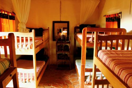 Imagen general del Explorers River Camp. Foto 4