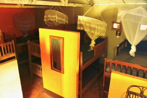 Imagen de la habitación del Explorers River Camp. Foto 17