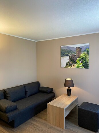 Imagen general del FETZ - Das Loreley Hotel. Foto 2