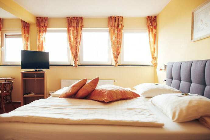 Imagen de la habitación del FETZ - Das Loreley Hotel. Foto 14