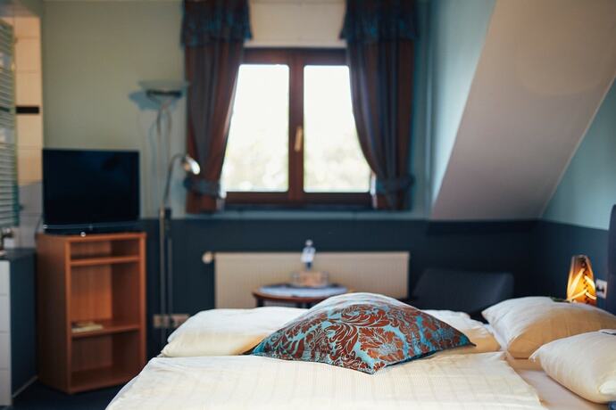 Imagen general del FETZ - Das Loreley Hotel. Foto 3