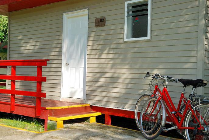 Imagen general del FINCA MARIA DOLORES. Foto 7