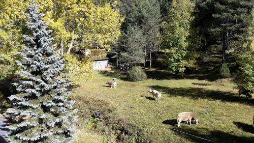 Imagen de la habitación del FINCA RUSTICA RB La Molina. Foto 19