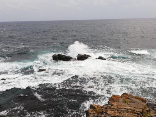 Imagen general del FIRST LINE SEA plot campground for camping tent campers caravan motorhome Caravans Pop Tops Expander. Foto 6