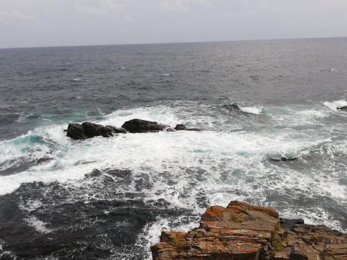 Imagen general del FIRST LINE SEA plot campground for camping tent campers caravan motorhome Caravans Pop Tops Expander. Foto 11