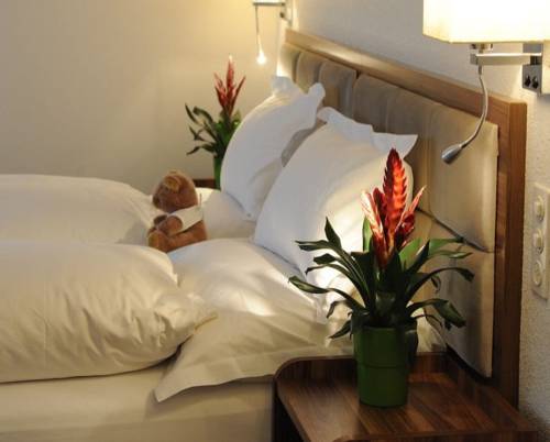 Imagen de la habitación del Falken Am Rotsee. Foto 8