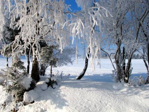 Imagen general del Familienappartements Eder. Foto 30