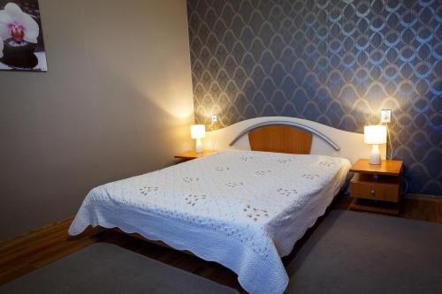 Imagen de la habitación del Family Hotel Accent. Foto 18