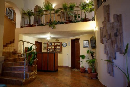 Imagen general del Family Hotel Accent. Foto 5