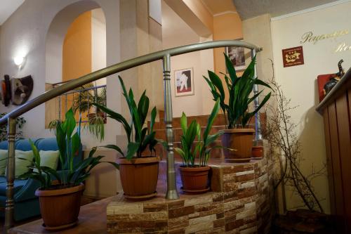 Imagen general del Family Hotel Accent. Foto 8