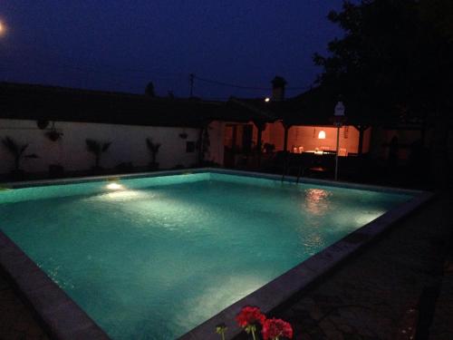 Imagen general del Family Hotel Accent. Foto 15