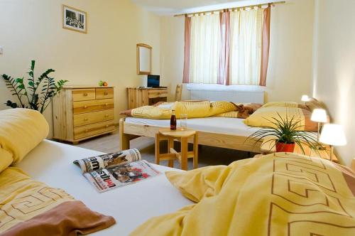 Imagen general del Family Resort Lučivná. Foto 6