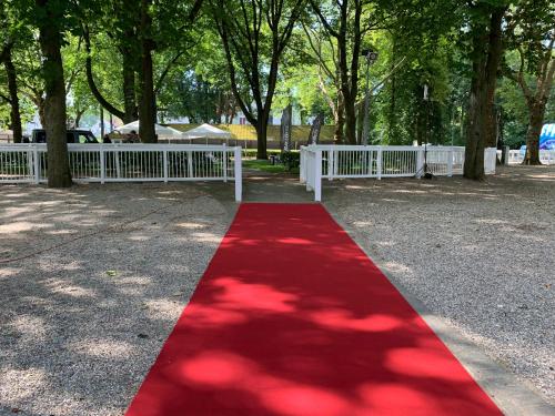 Imagen general del Fan-Camp Dortmund UEFA EURO 2024. Foto 4