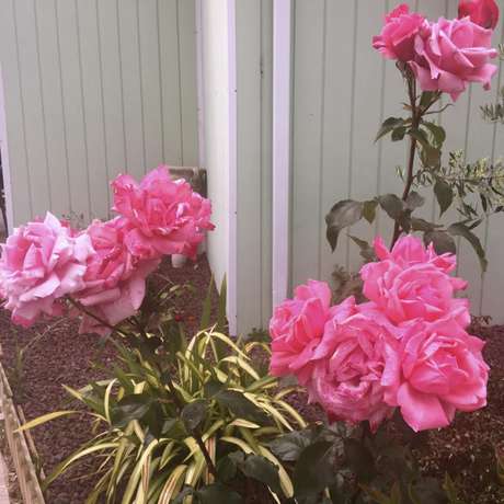 Imagen de los exteriores del Fasthotel Toulouse Muret. Foto 17