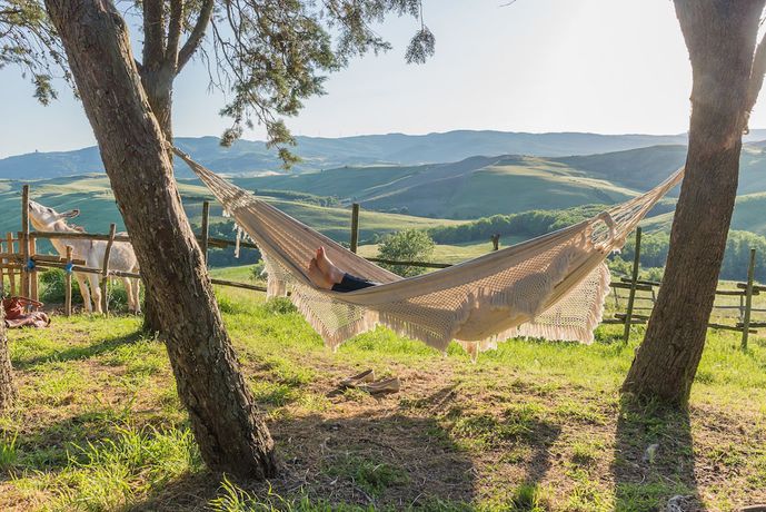 Imagen general del Fattoria Lischeto. Foto 1
