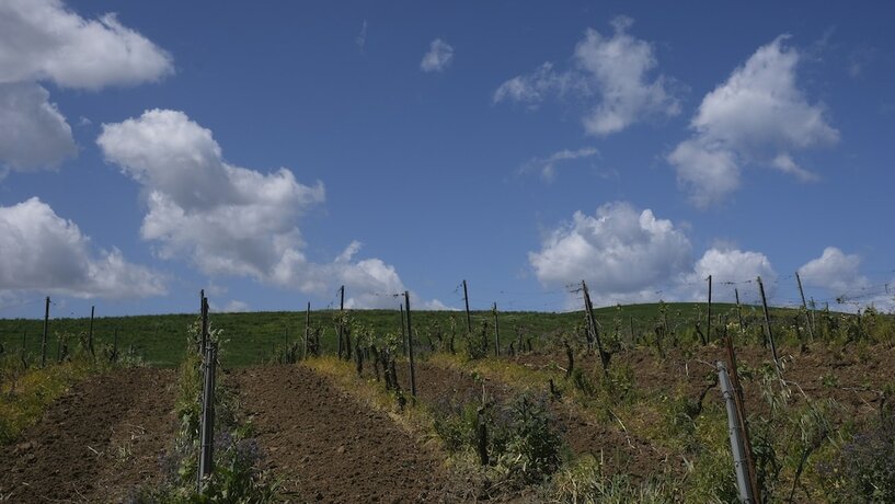 Imagen general del Fattoria Manostalla. Foto 5