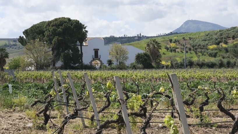 Imagen general del Fattoria Manostalla. Foto 12