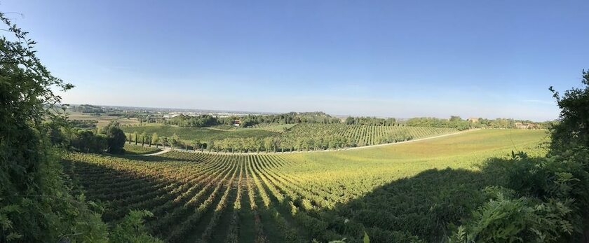 Imagen general del Fattoria Paradiso. Foto 3