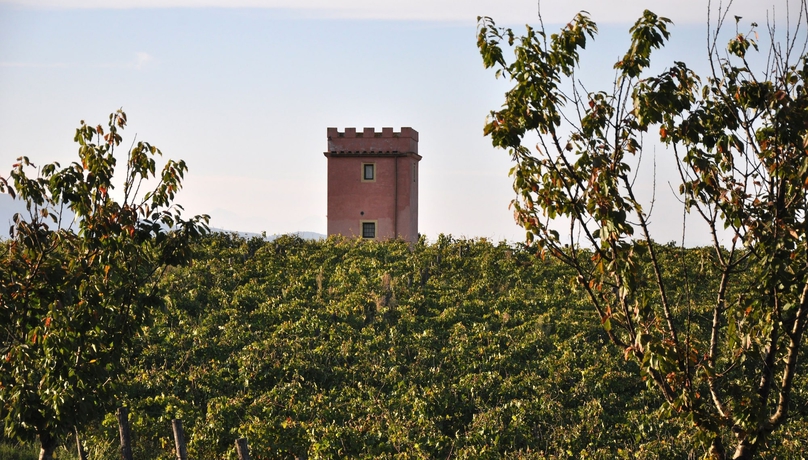 Imagen de la habitación del Fattoria Santa Lucia. Foto 11