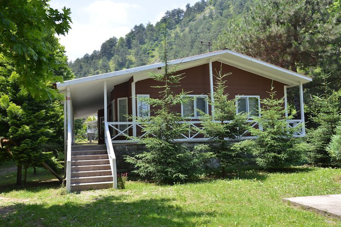 Imagen de la habitación del Feel and Live Hotel Villas Restaurant. Foto 11