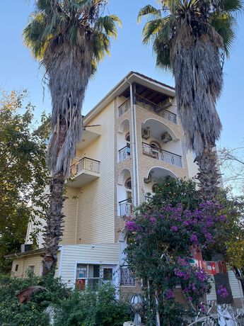 Imagen general del Felicity Hotel and Bungalows. Foto 3
