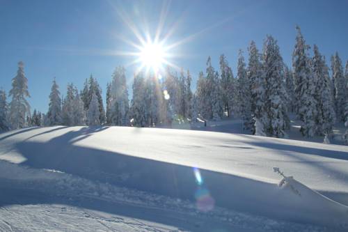 Imagen de la habitación del Ferienanlage Reithof. Foto 12