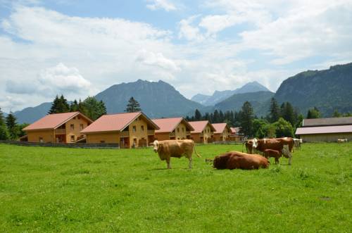 Imagen de la habitación del Feriendorf Am Hahnenkamm. Foto 7