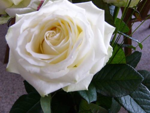 Imagen general del Ferienhaus Panorama. Foto 2