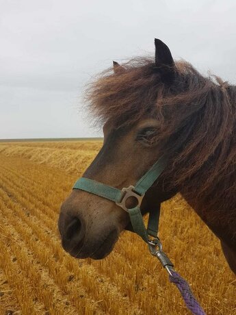 Imagen general del Ferienhof Schild. Foto 9