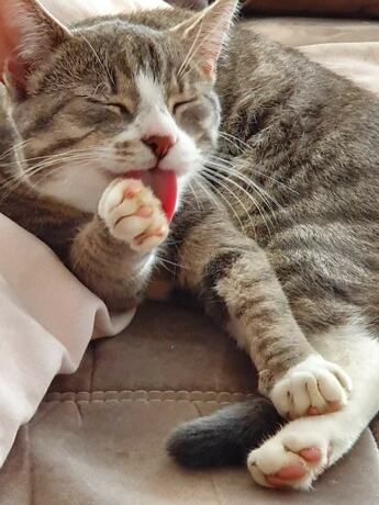 Imagen general del Ferienhof Schild. Foto 12