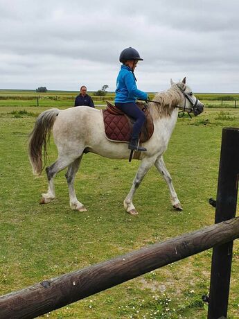 Imagen general del Ferienhof Schild. Foto 13