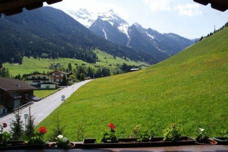 Imagen general del Ferienhof Stöckl. Foto 7