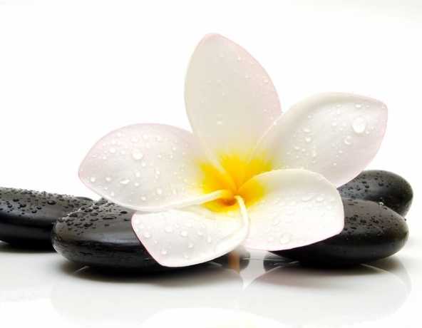 Imagen de la piscina del Ferienhotel Markersbach. Foto 13