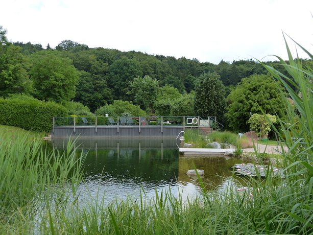 Imagen de la piscina del Ferienhotel Wolfsm&uuml;hle. Foto 18