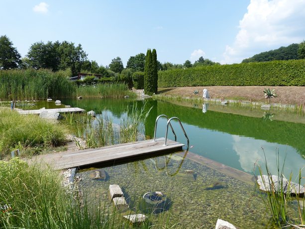 Imagen de la piscina del Ferienhotel Wolfsm&uuml;hle. Foto 19