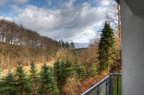 Imagen de la habitación del Ferienpark Hollandia. Foto 12