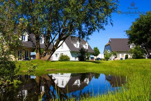 Imagen general del Ferienpark Seepferdchen. Foto 2