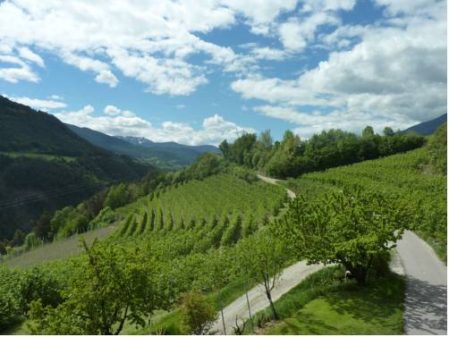 Imagen de la habitación del Ferienpension Zumm&uuml;llerhof. Foto 4