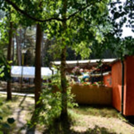 Imagen de los exteriores del Feriensiedlung Schwalbennest. Foto 17