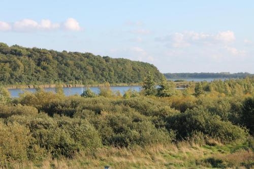 Imagen general del Ferienwohnung Boddenhof Stedar. Foto 3