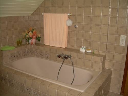 Imagen general del Ferienwohnung Feitzinger. Foto 7