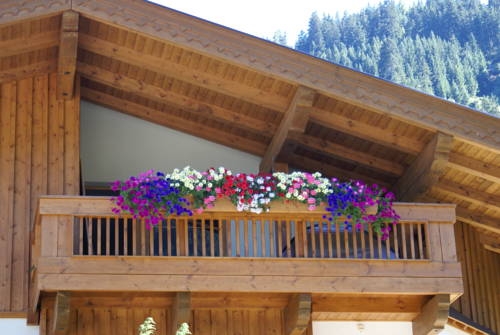 Imagen general del Ferienwohnung Gertraud Und Peter Geisler. Foto 8