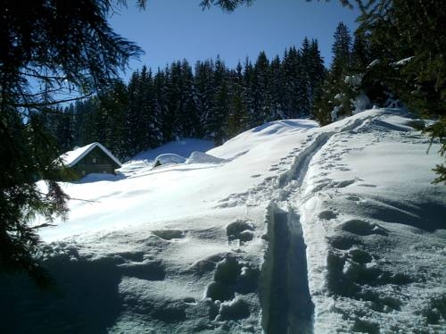 Imagen general del Ferienwohnung Hessenberger. Foto 8