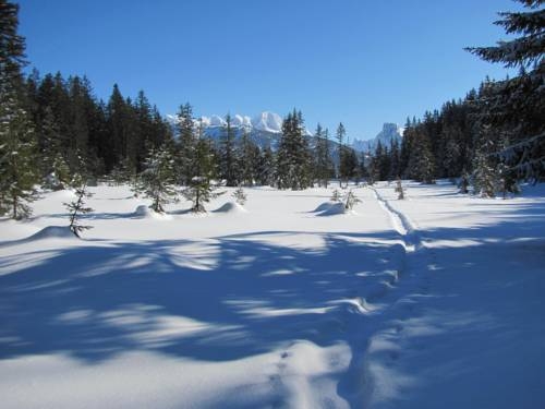 Imagen general del Ferienwohnung Hessenberger. Foto 9