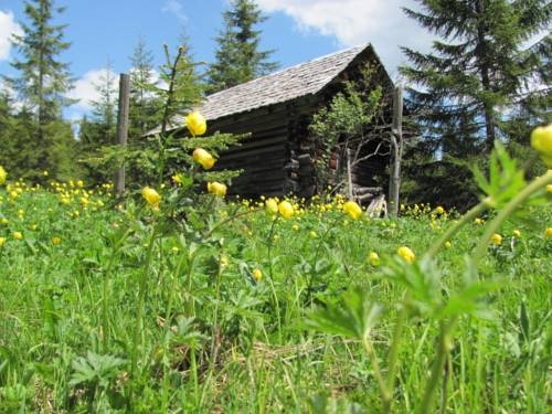 Imagen general del Ferienwohnung Hessenberger. Foto 13