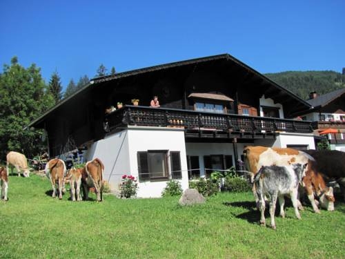 Imagen general del Ferienwohnung Hessenberger. Foto 14