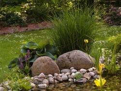 Imagen general del Ferienwohnung Huhle. Foto 11